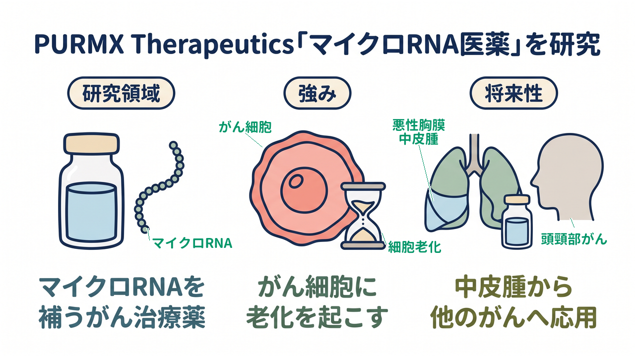 PURMX Therapeutics「マイクロRNA医薬」を研究｜研究領域=マイクロRNAを・補うがん治療薬／強み=がん細胞に・老化を起こす／将来性=中皮腫から・他のがんへ応用