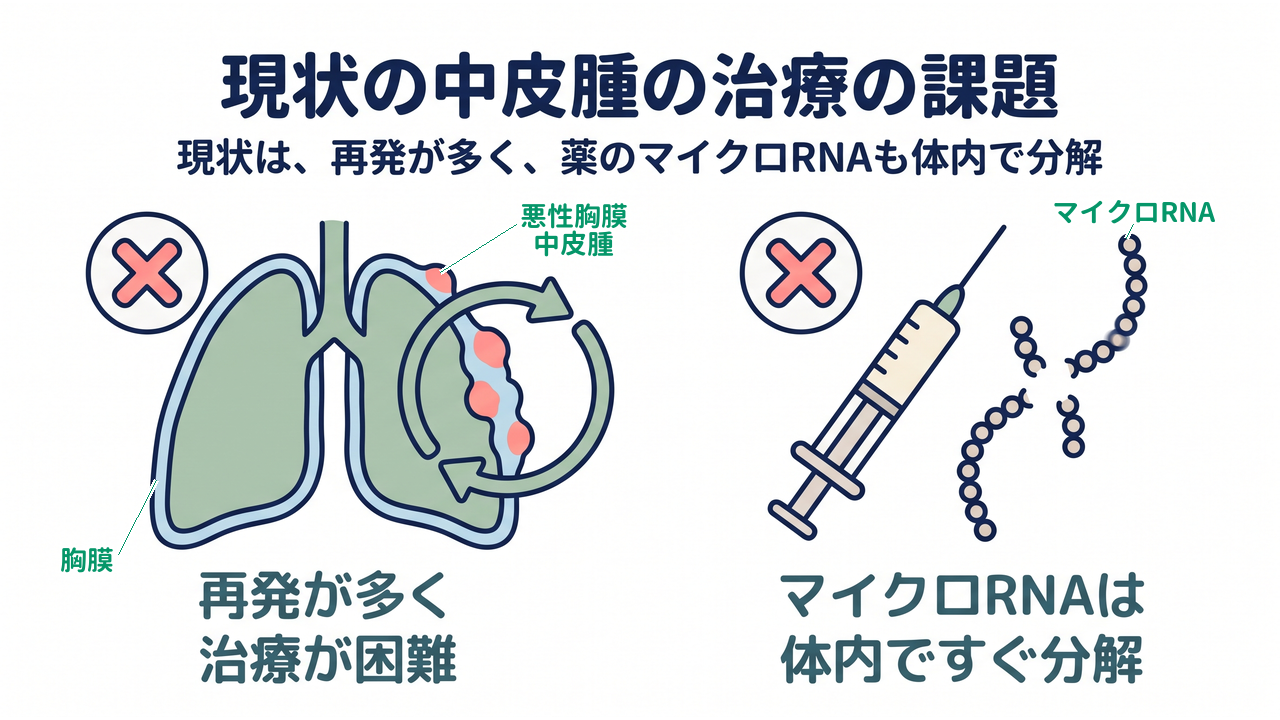 現状の中皮腫の治療の課題｜現状は、再発が多く、薬のマイクロRNAも体内で分解｜再発が多く・治療が困難／マイクロRNAは・体内ですぐ分解