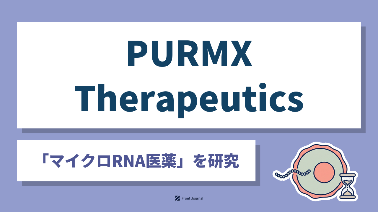 株式会社PURMX Therapeuticsは天然型マイクロRNAでがん細胞に老化を起こす核酸医薬を開発する広島大学発の企業