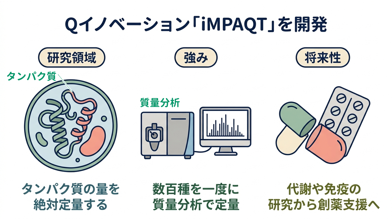 Qイノベーション「iMPAQT」を開発｜研究領域=タンパク質の量を・絶対定量する／強み=数百種を一度に・質量分析で定量／将来性=代謝や免疫の・研究から創薬支援へ