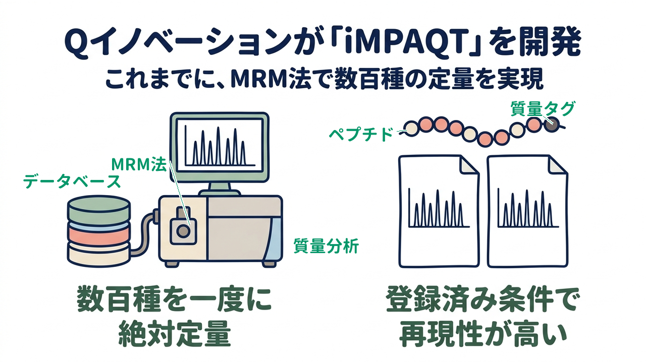 Qイノベーションが「iMPAQT」を開発｜これまでに、MRM法で数百種の定量を実現｜数百種を一度に・絶対定量／登録済み条件で・再現性が高い