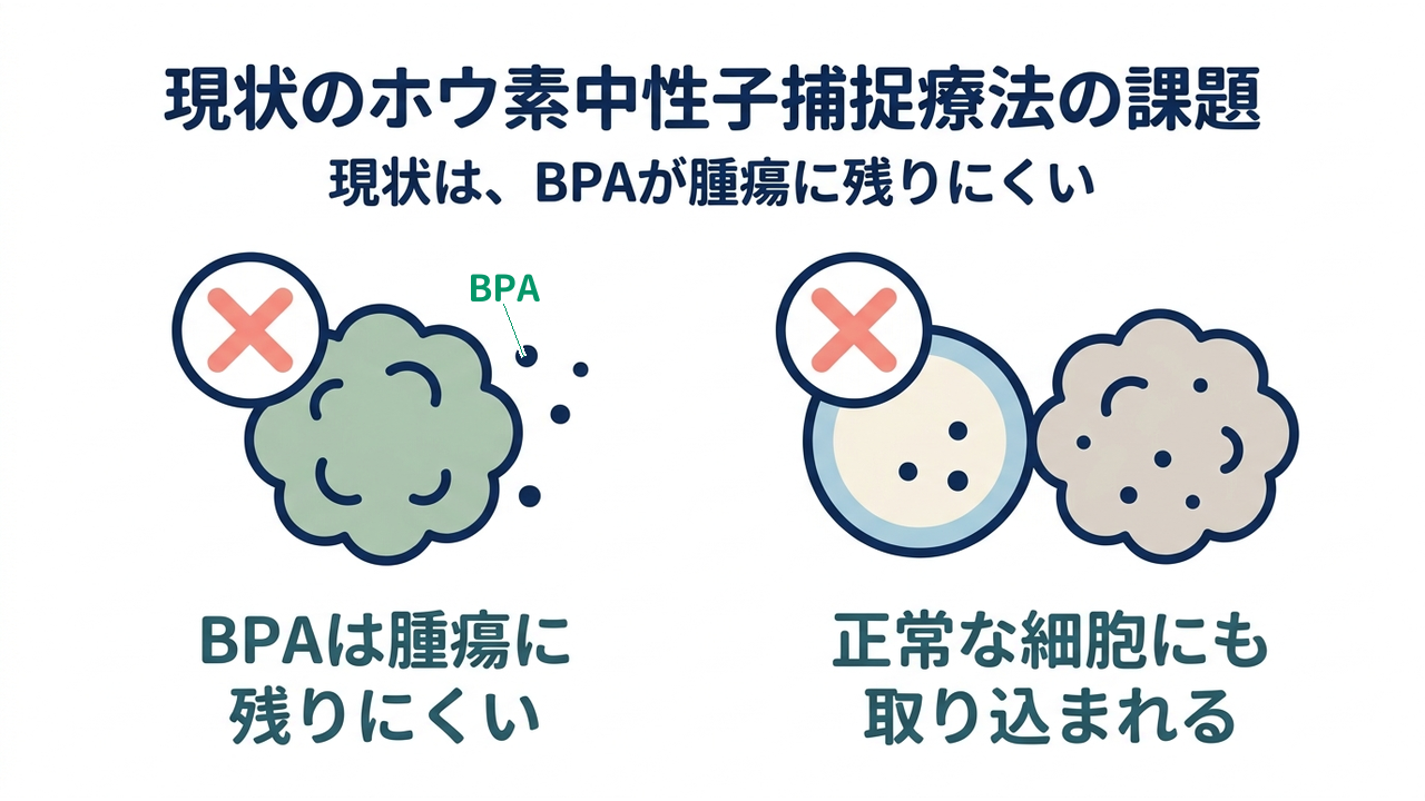 現状のホウ素中性子捕捉療法の課題｜現状は、BPAが腫瘍に残りにくい｜BPAは腫瘍に・残りにくい／正常な細胞にも・取り込まれる