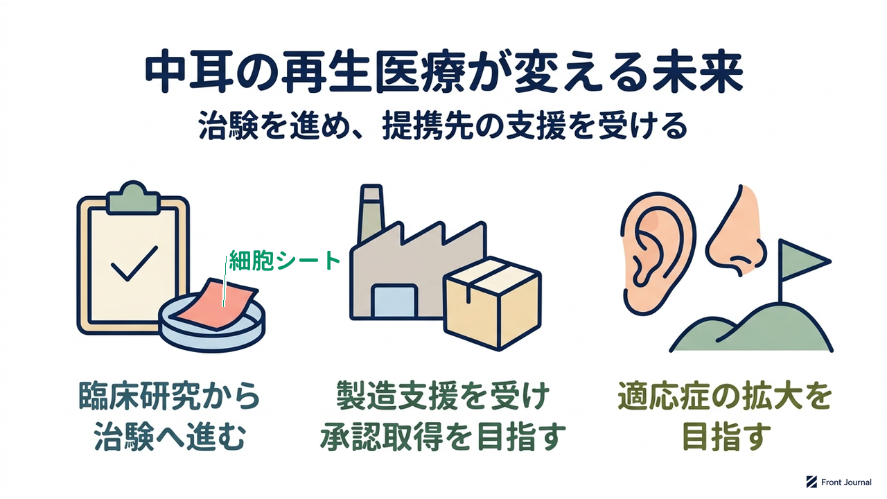 中耳の再生医療が変える未来|臨床研究から治験へ進む/製造支援を受け承認取得を目指す/適応症の拡大を目指す