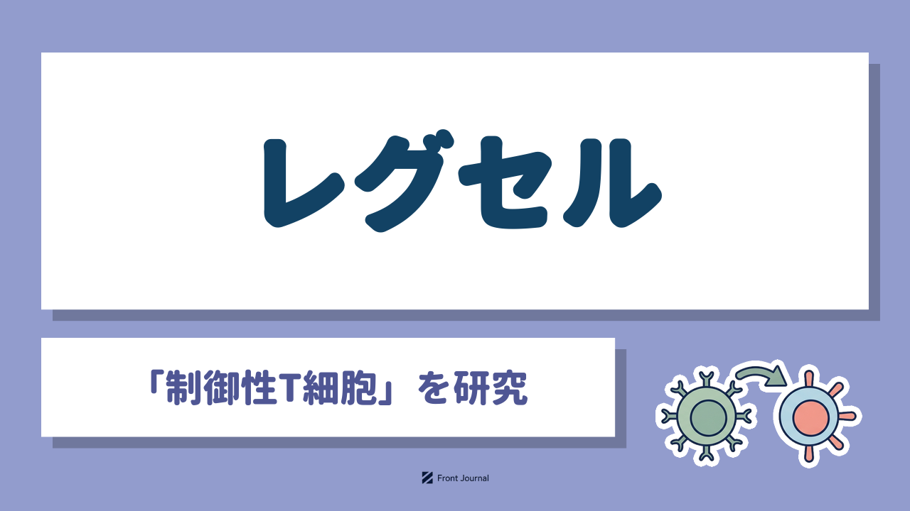 レグセル「制御性T細胞」を研究｜免疫細胞を描いたイラスト