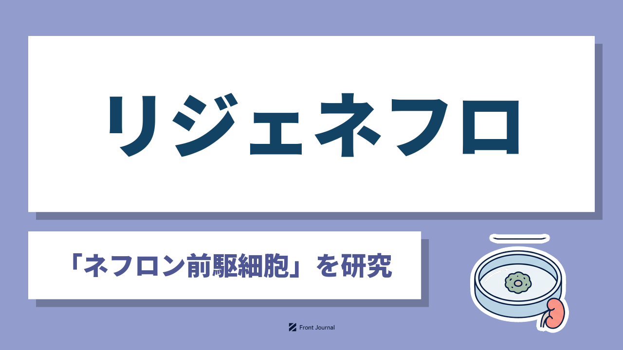 リジェネフロ株式会社｜iPS細胞からネフロン前駆細胞を作製し腎疾患の治療薬と細胞療法を開発する京都大学発ディープテック