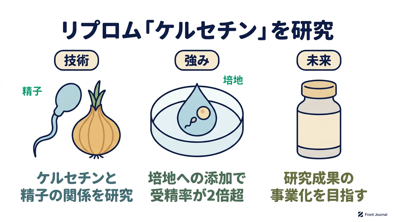 リプロム「ケルセチン」を研究