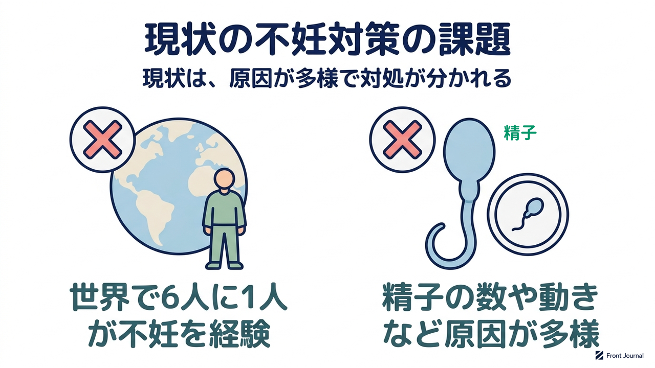 現状の不妊対策の課題
