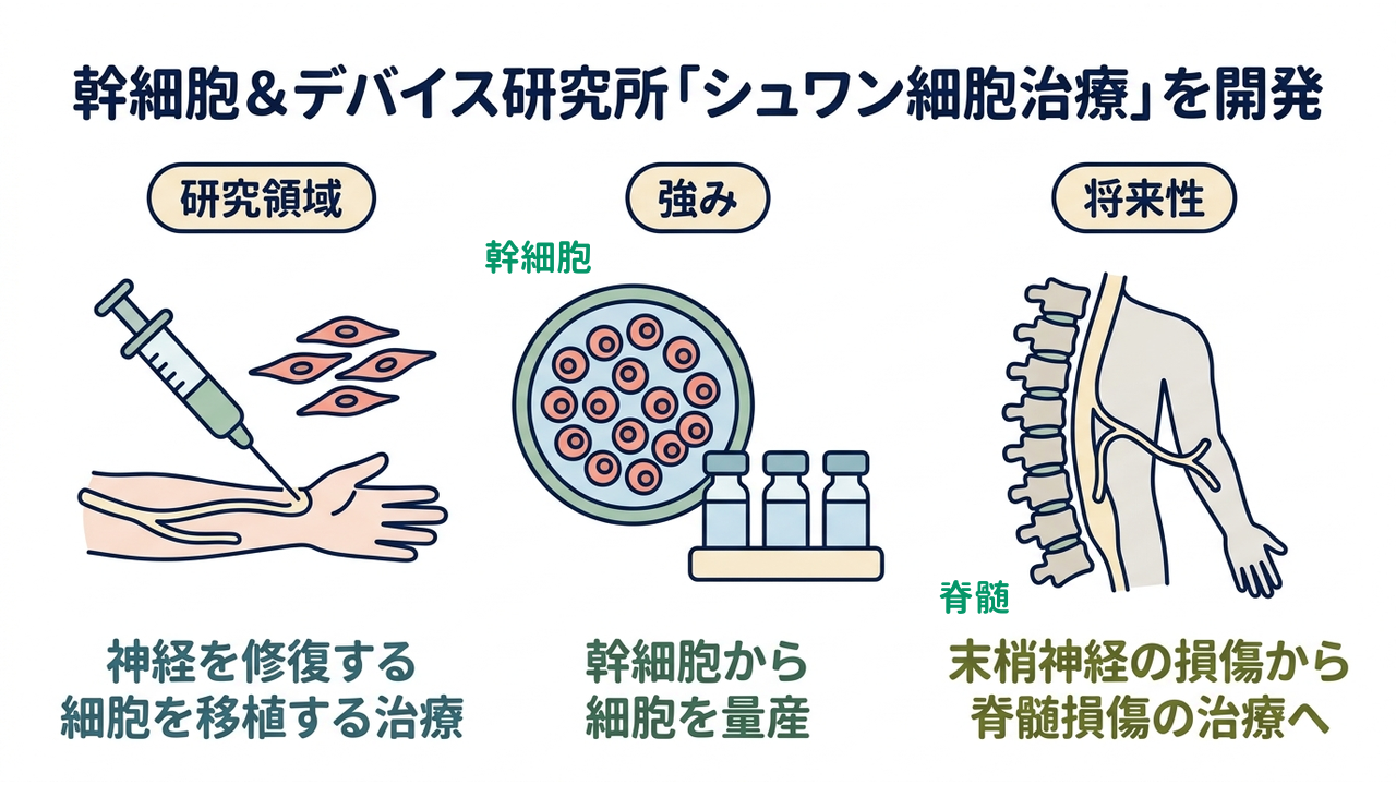 幹細胞＆デバイス研究所「シュワン細胞治療」を開発｜研究領域=神経を修復する細胞を移植する治療／強み=幹細胞から細胞を量産／将来性=末梢神経の損傷から脊髄損傷の治療へ