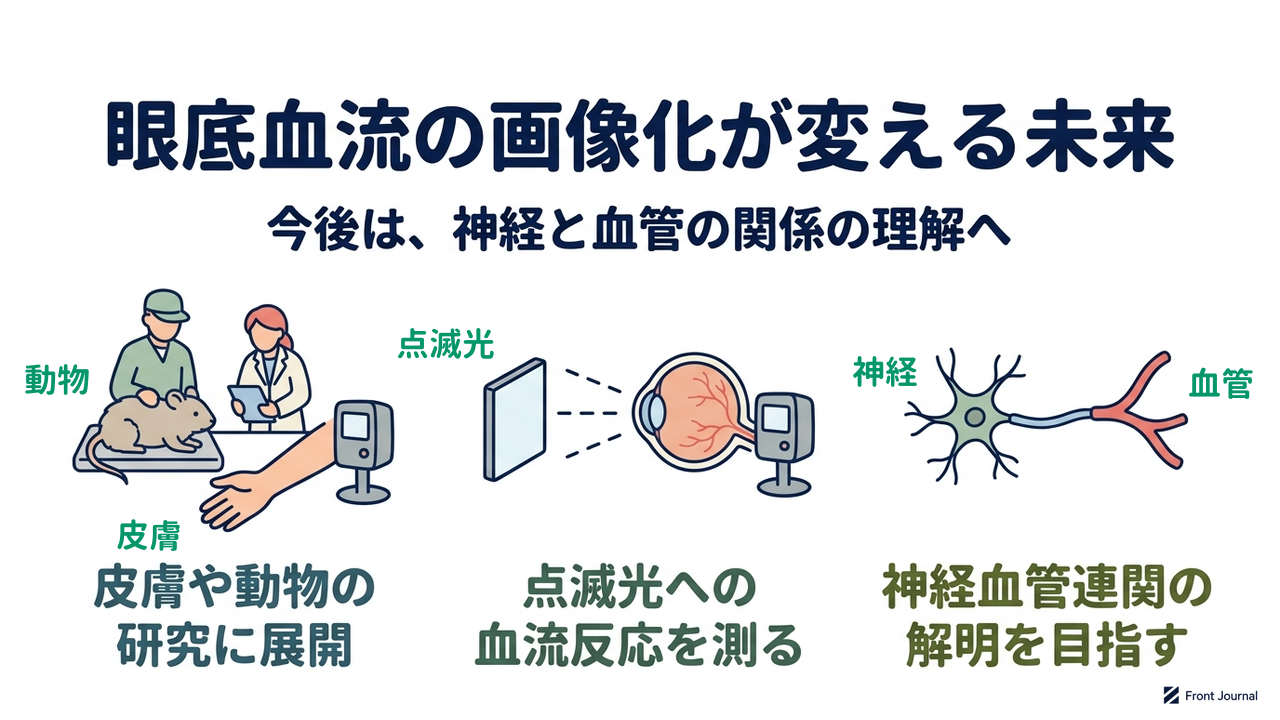 眼底血流の画像化が変える未来|今後は、神経と血管の関係の理解へ|皮膚や動物の・研究に展開/点滅光への・血流反応を測る/神経血管連関の・解明を目指す