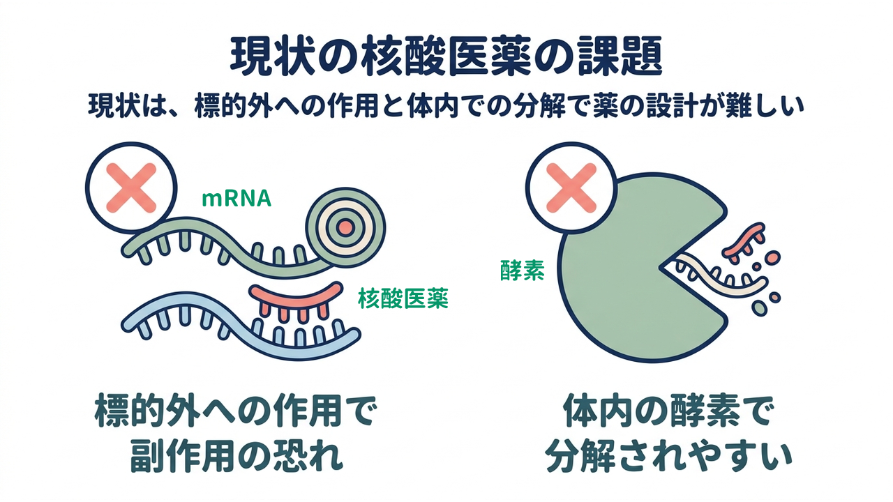 現状の核酸医薬の課題