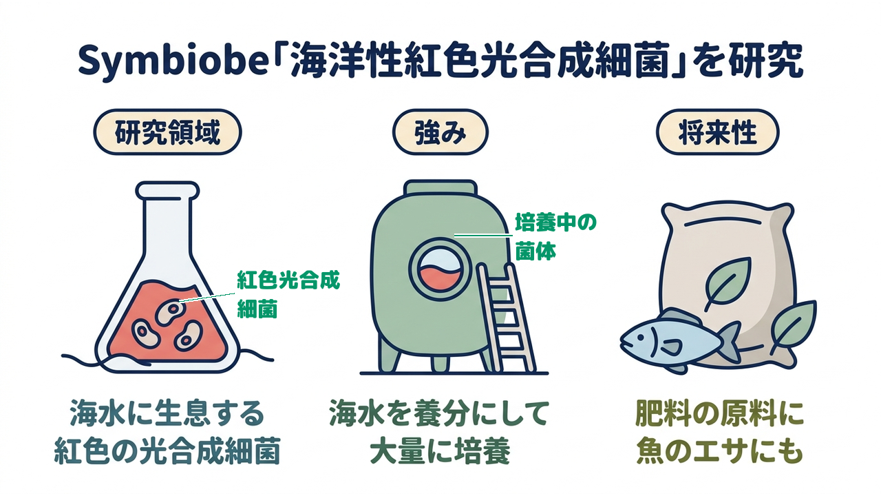 Symbiobe「海洋性紅色光合成細菌」を研究|研究領域=海水に生息する/紅色の光合成細菌/強み=海水を養分にして/大量に培養/将来性=肥料の原料に/魚のエサにも