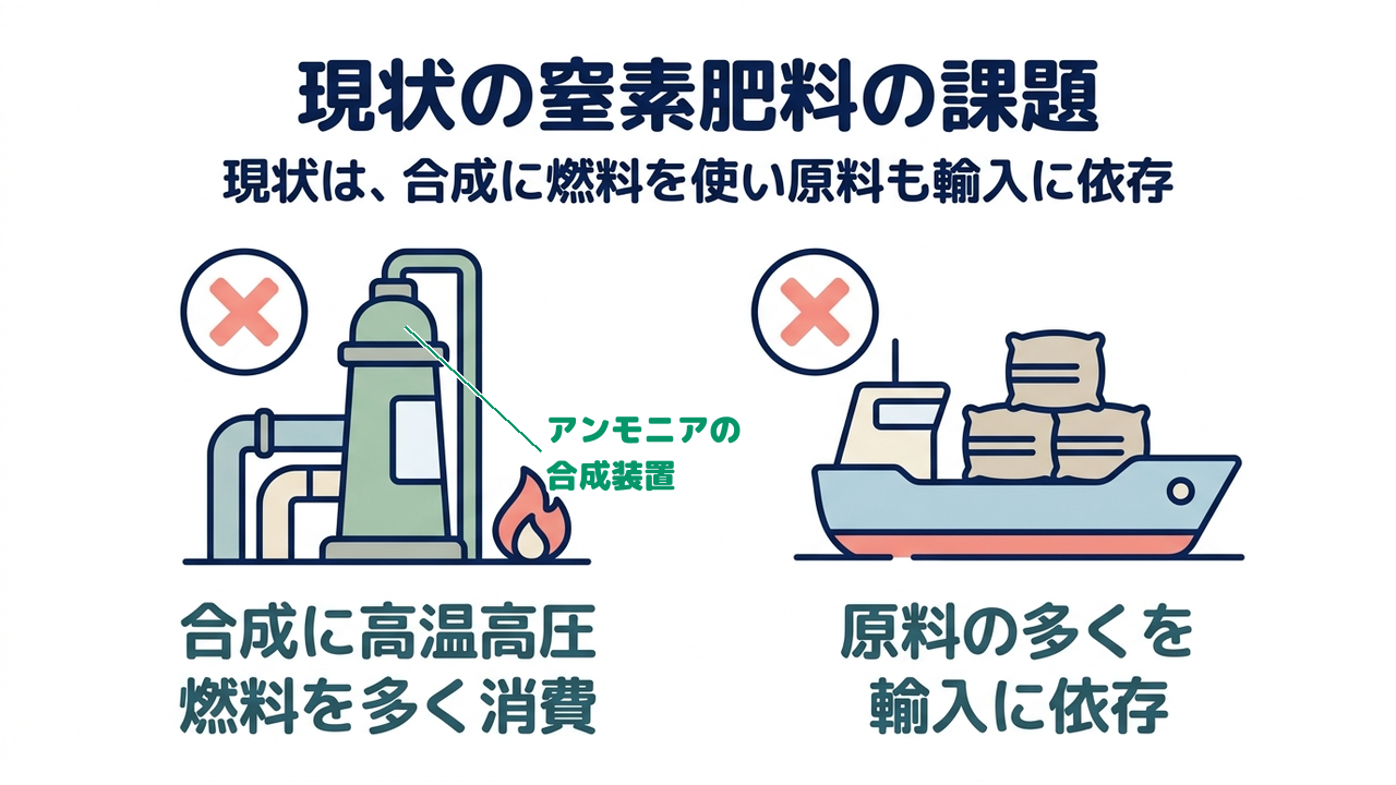 現状の窒素肥料の課題|現状は、合成に燃料を使い原料も輸入に依存/合成に高温高圧/燃料を多く消費/原料の多くを/輸入に依存