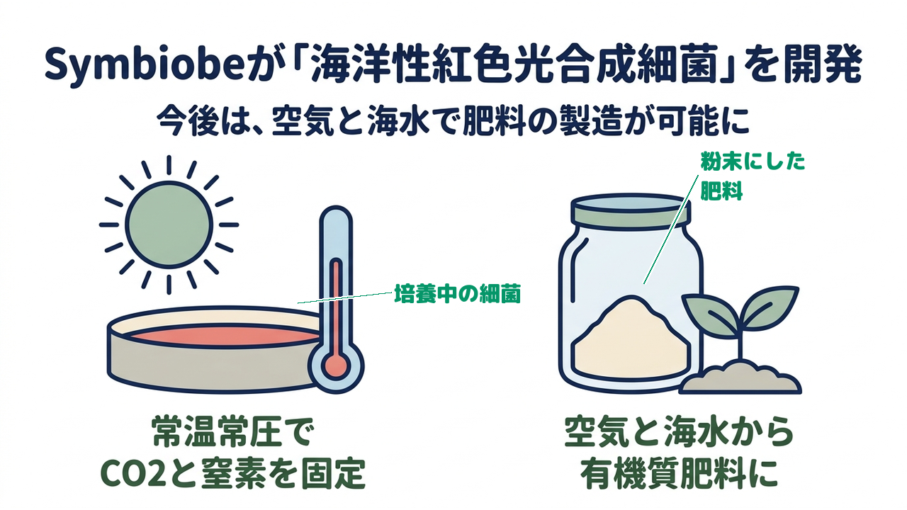 Symbiobeが「海洋性紅色光合成細菌」を開発|今後は、光と海水で肥料の製造が可能に/常温常圧で/CO2と窒素を固定/空気と海水から/有機質肥料を製造