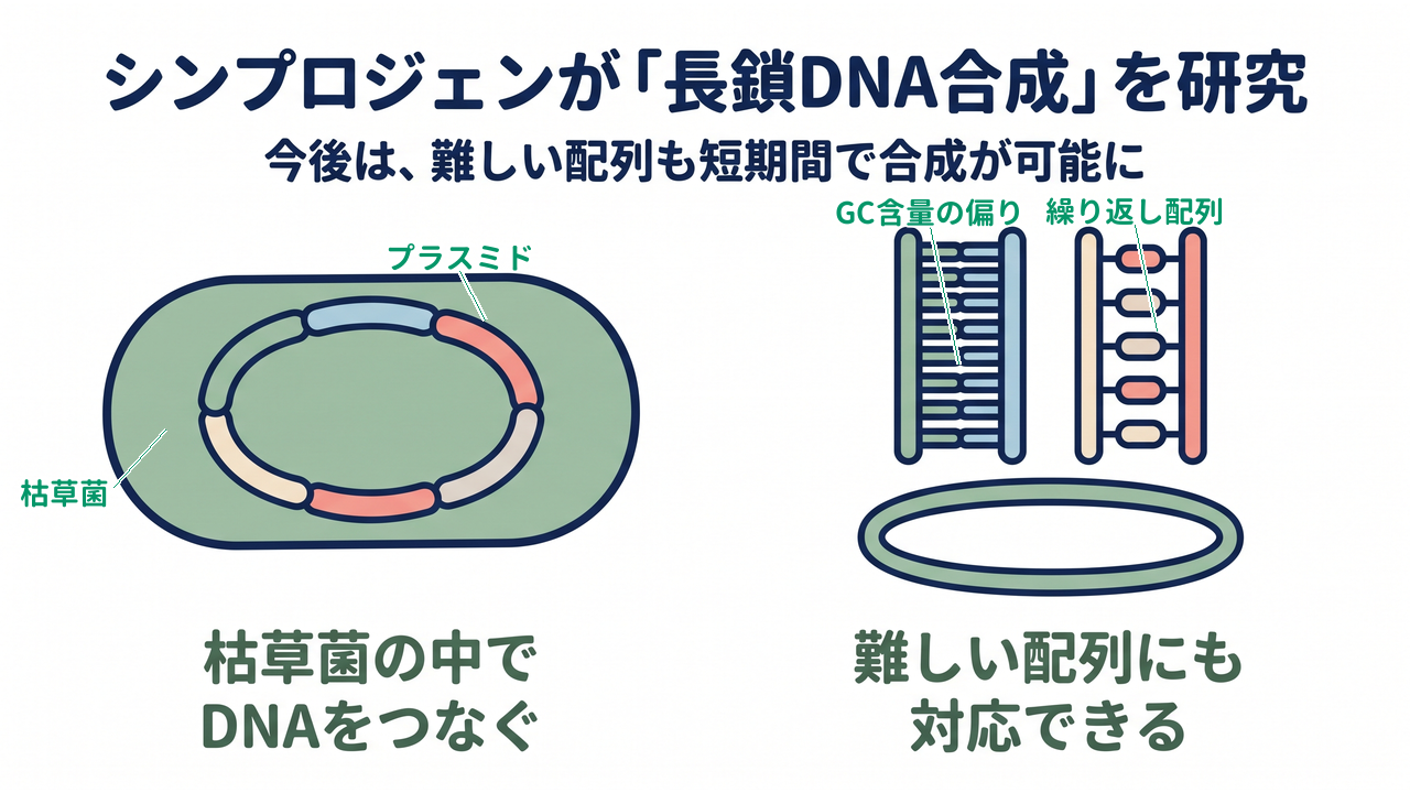 シンプロジェンが「長鎖DNA合成」を研究｜枯草菌の中でDNAをつなぐ／難しい配列にも対応できる