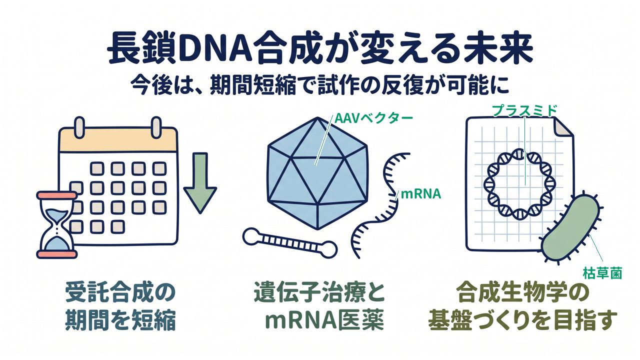 長鎖DNA合成が変える未来｜受託合成の期間を短縮／遺伝子治療とmRNA医薬／合成生物学の基盤づくりを目指す