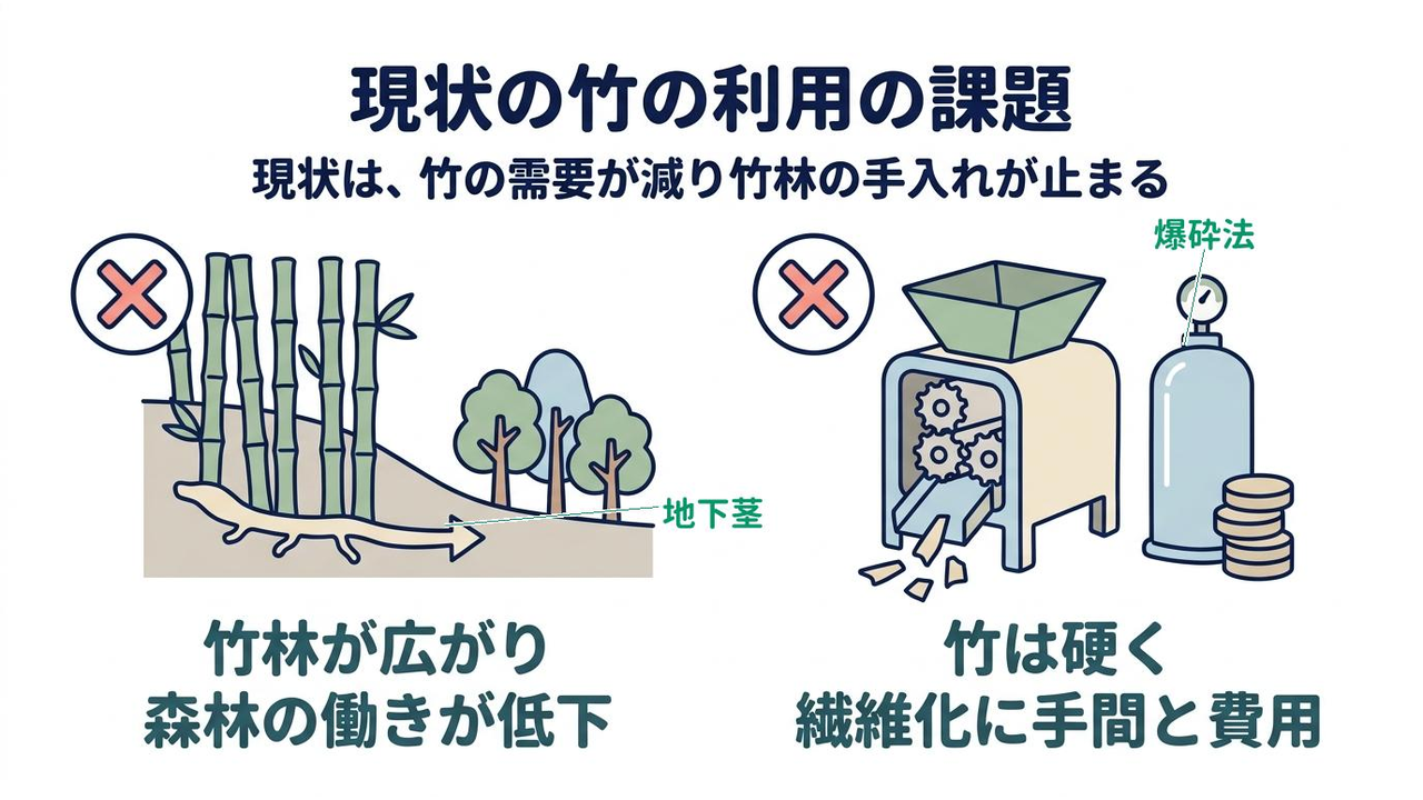 現状の竹の利用の課題|現状は、竹の需要が減り竹林の手入れが止まる|竹林が広がり/森林の働きが低下/竹は硬く/繊維化に手間と費用
