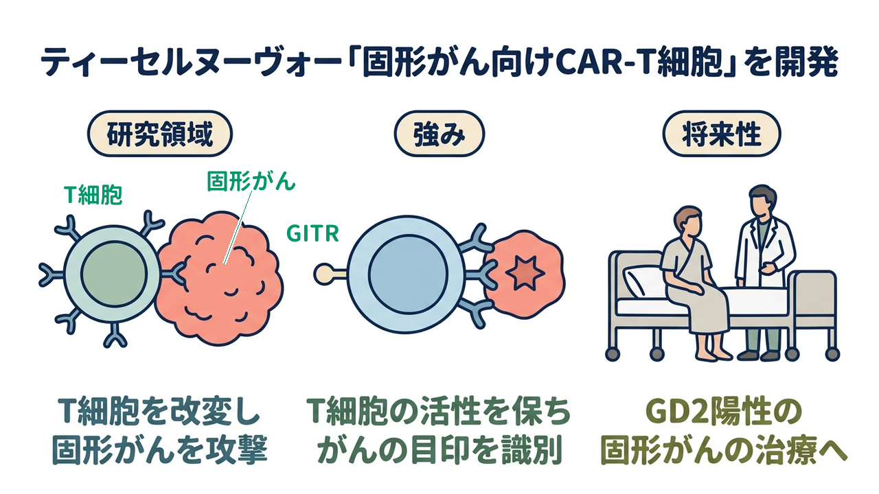 ティーセルヌーヴォー「固形がん向けCAR-T細胞」を開発｜研究領域=T細胞を改変し・固形がんを攻撃／強み=T細胞の活性を保ち・がんの目印を識別／将来性=GD2陽性の・固形がんの治療へ