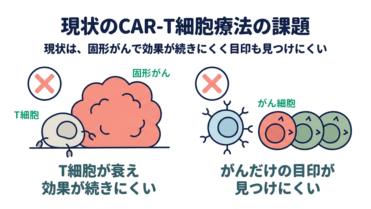 現状のCAR-T細胞療法の課題｜現状は、固形がんで効果が続きにくく目印も見つけにくい｜T細胞が衰え・効果が続きにくい／がんだけの目印が・見つけにくい