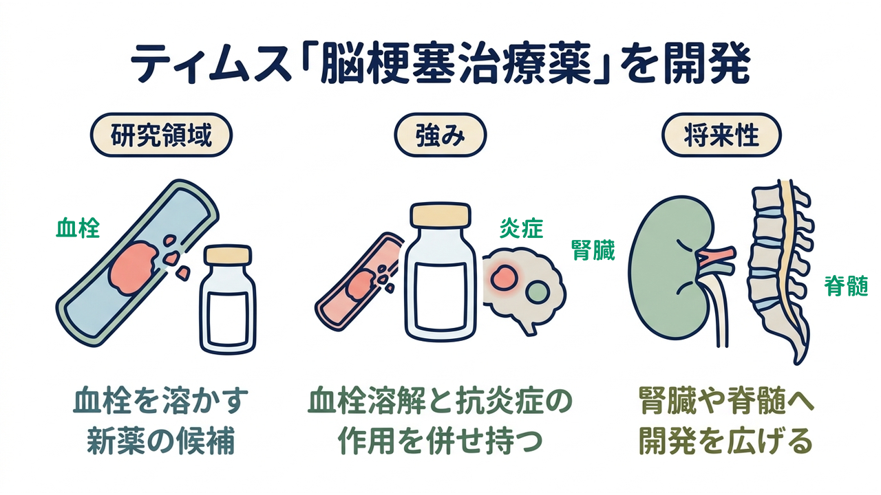 ティムス「脳梗塞治療薬」を開発|研究領域=血栓を溶かす新薬の候補/強み=血栓溶解と抗炎症の作用を併せ持つ/将来性=腎臓や脊髄へ開発を広げる