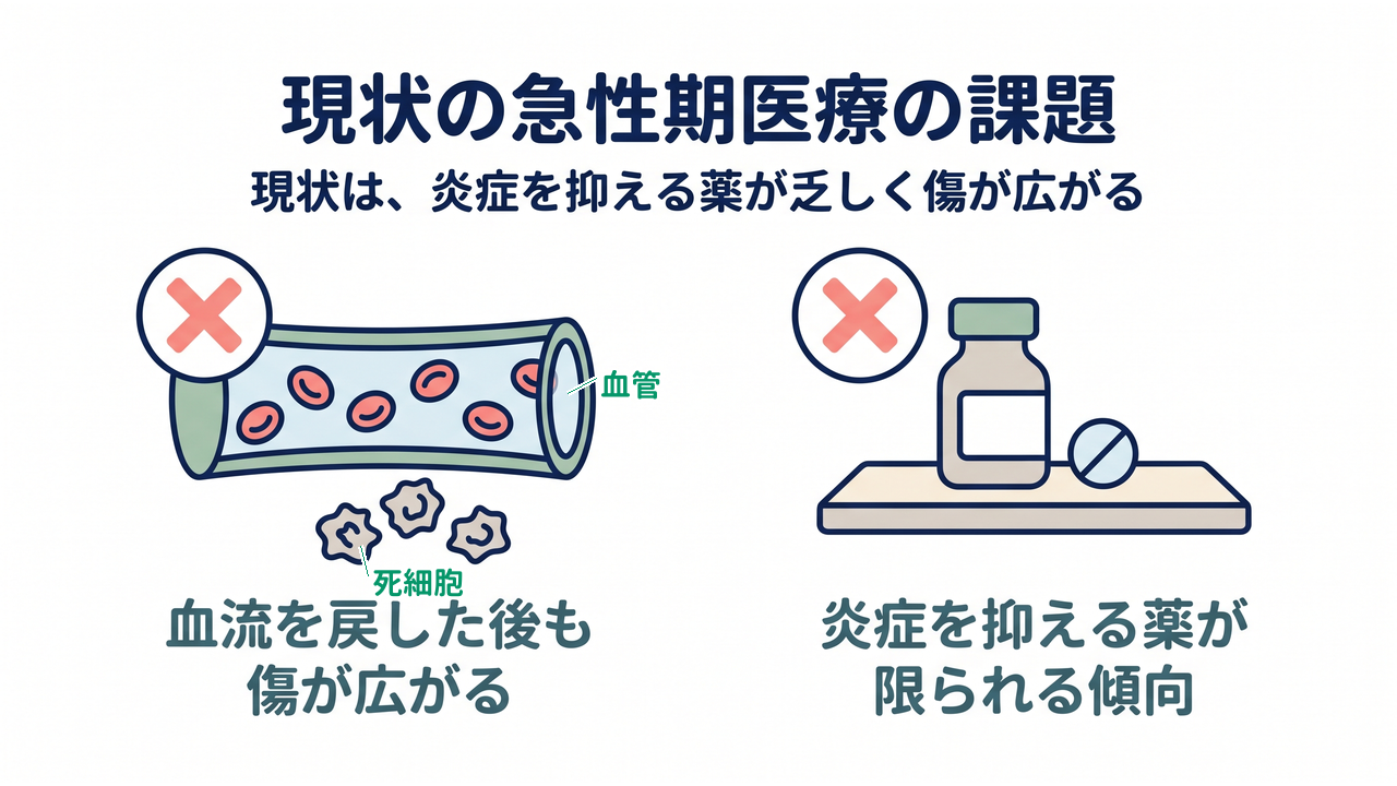現状の急性期医療の課題|現状は、炎症を抑える薬が乏しく傷が広がる|血流を戻した後も傷が広がる/炎症を抑える薬が限られる傾向