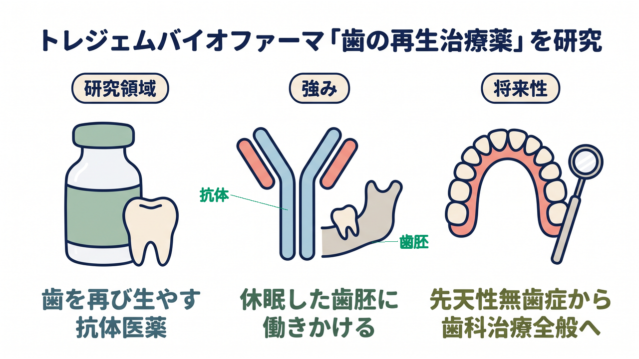 トレジェムバイオファーマ「歯の再生治療薬」を研究｜研究領域=歯を再び生やす抗体医薬／強み=休眠した歯胚に働きかける／将来性=先天性無歯症から歯科治療全般へ