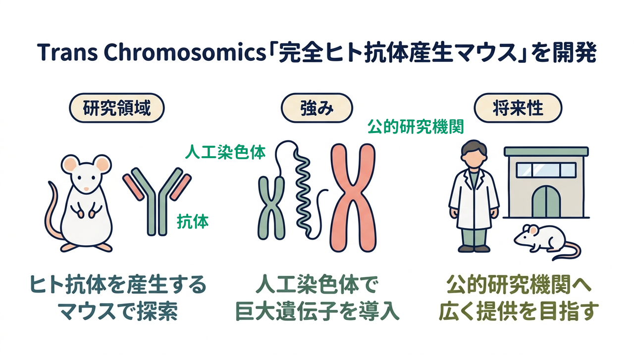 Trans Chromosomics「完全ヒト抗体産生マウス」を開発｜研究領域=ヒトの抗体をつくるマウスで抗体医薬を探索／強み=人工染色体で巨大遺伝子を導入／将来性=公的研究機関へ広く提供を目指す