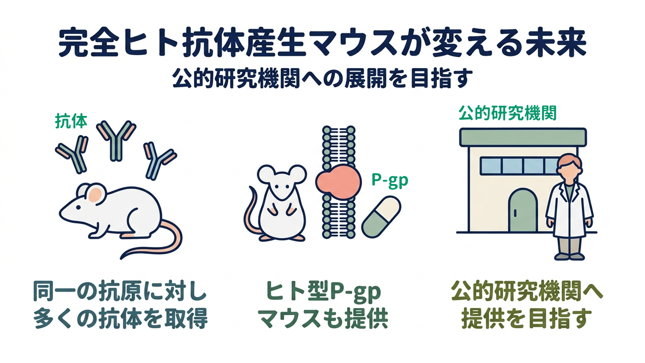 完全ヒト抗体産生マウスが変える未来｜抗体を効率よく取得できる／ヒト型P-gpマウスも提供／公的研究機関へ広く提供