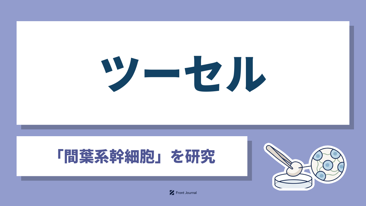 株式会社ツーセルは他人の幹細胞から作る立体の人工組織で膝の軟骨の修復を目指す広島大学発の企業