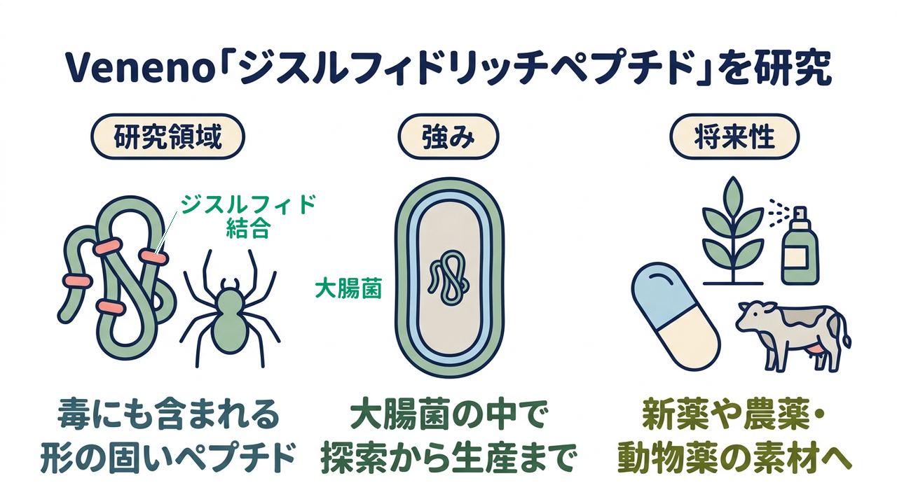Veneno「ジスルフィドリッチペプチド」を研究｜研究領域=毒にも含まれる形の固いペプチド／強み=大腸菌の中で探索から生産まで／将来性=新薬や農薬・動物薬の素材へ