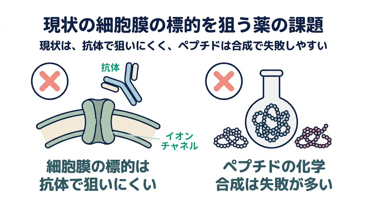 現状の細胞膜の標的を狙う薬の課題｜現状は、抗体で狙いにくく、ペプチドは合成で失敗しやすい／細胞膜の標的は抗体で狙いにくい／ペプチドの化学合成は失敗が多い