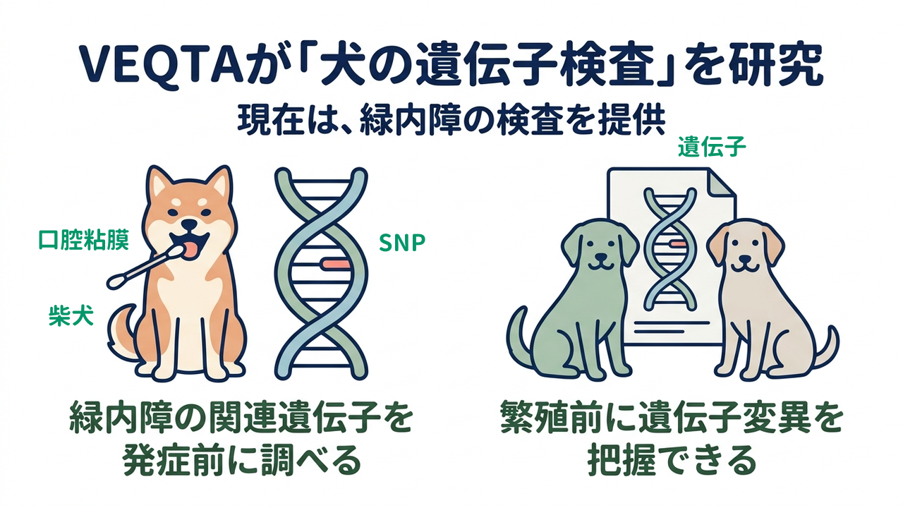 VEQTAが「犬の遺伝子検査」を研究