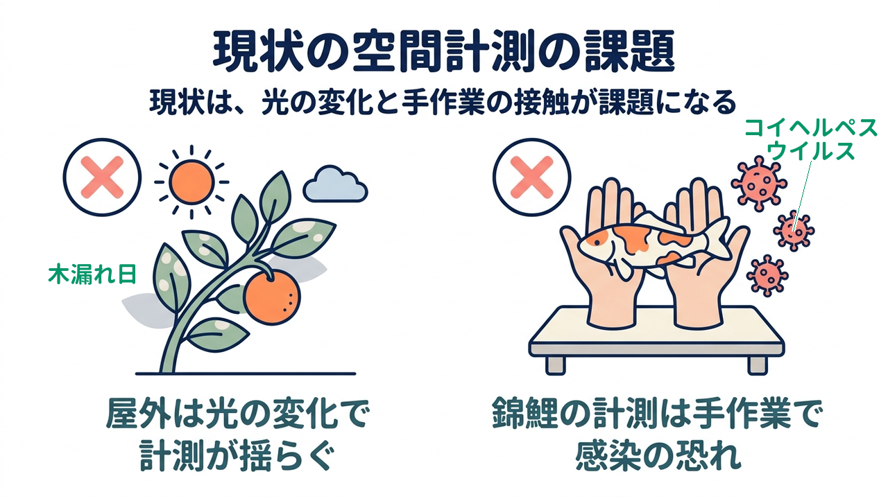 現状の空間計測の課題｜現状は、光の変化と手作業の接触が課題になる｜屋外は光の変化で・計測が揺らぐ／錦鯉の計測は手作業で・感染の恐れ