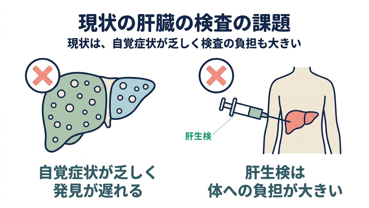 現状の肝臓の検査の課題｜現状は、自覚症状が乏しく検査の負担も大きい／自覚症状が乏しく発見が遅れる／肝生検は体への負担が大きい
