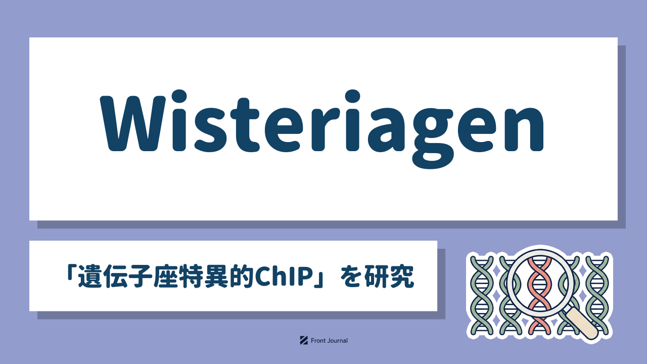 Wisteriagen「遺伝子座特異的ChIP」を研究
