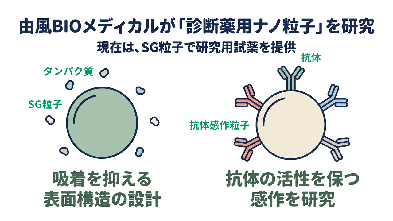 由風BIOメディカルが「診断薬用ナノ粒子」を研究｜現在は、SG粒子で研究用試薬を提供／吸着を抑える表面構造の設計／抗体の活性を保つ感作を研究