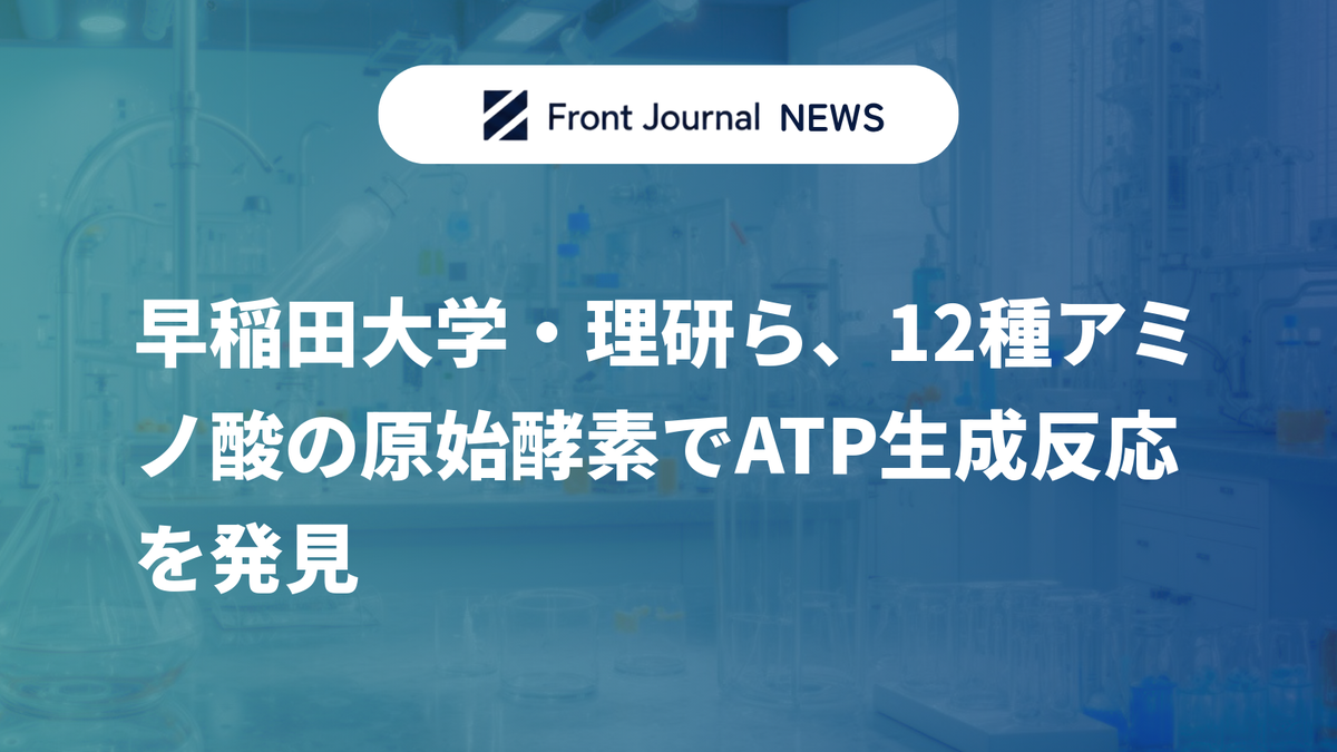 早稲田大学・理研ら、12種アミノ酸の原始酵素でATP生成反応を発見
