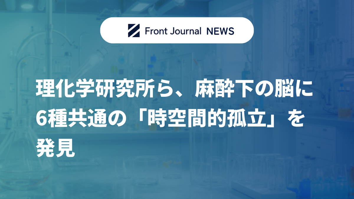 理化学研究所ら、麻酔下の脳に6種共通の「時空間的孤立」を発見