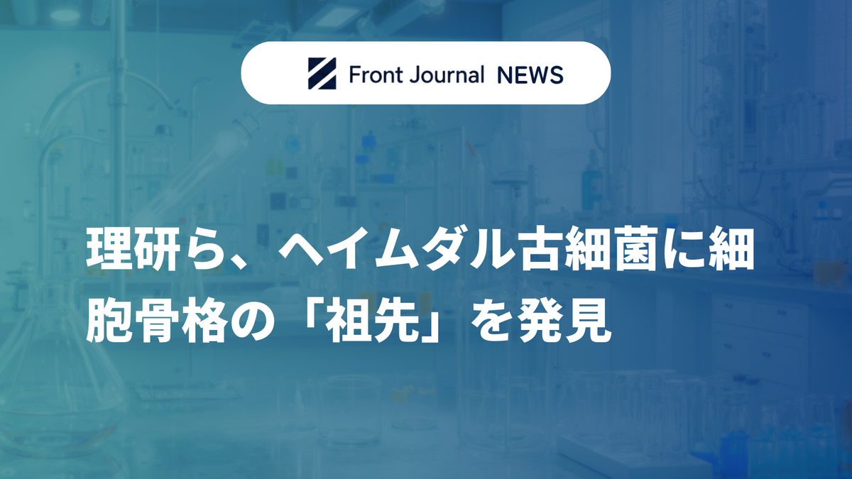 理研ら、ヘイムダル古細菌に細胞骨格の「祖先」を発見