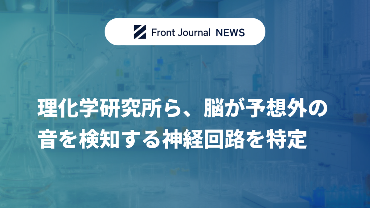 理化学研究所ら、脳が予想外の音を検知する神経回路を特定