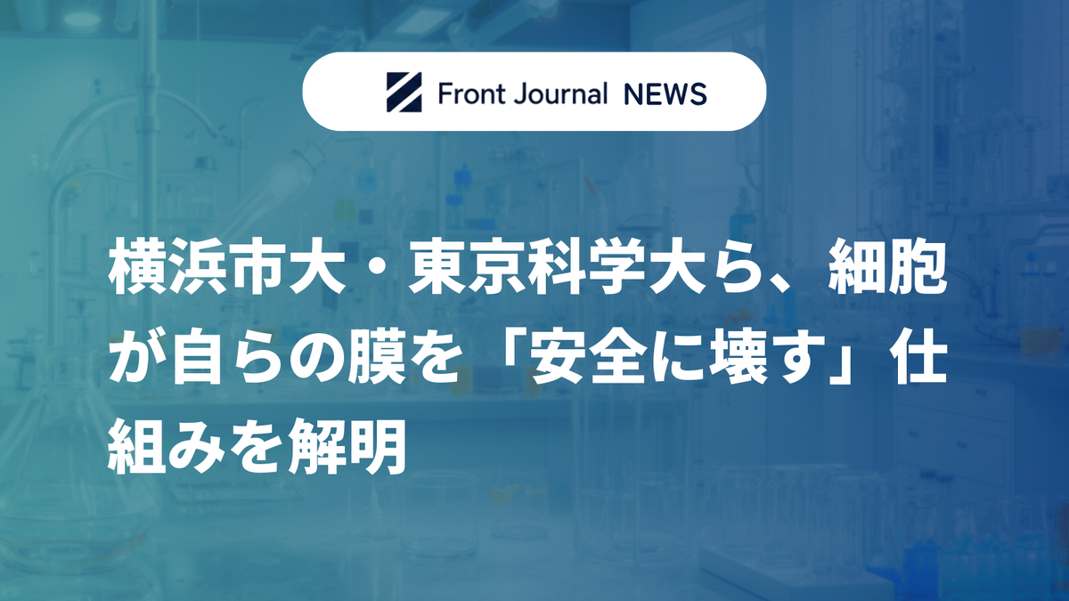 横浜市大・東京科学大ら、細胞が自らの膜を「安全に壊す」仕組みを解明