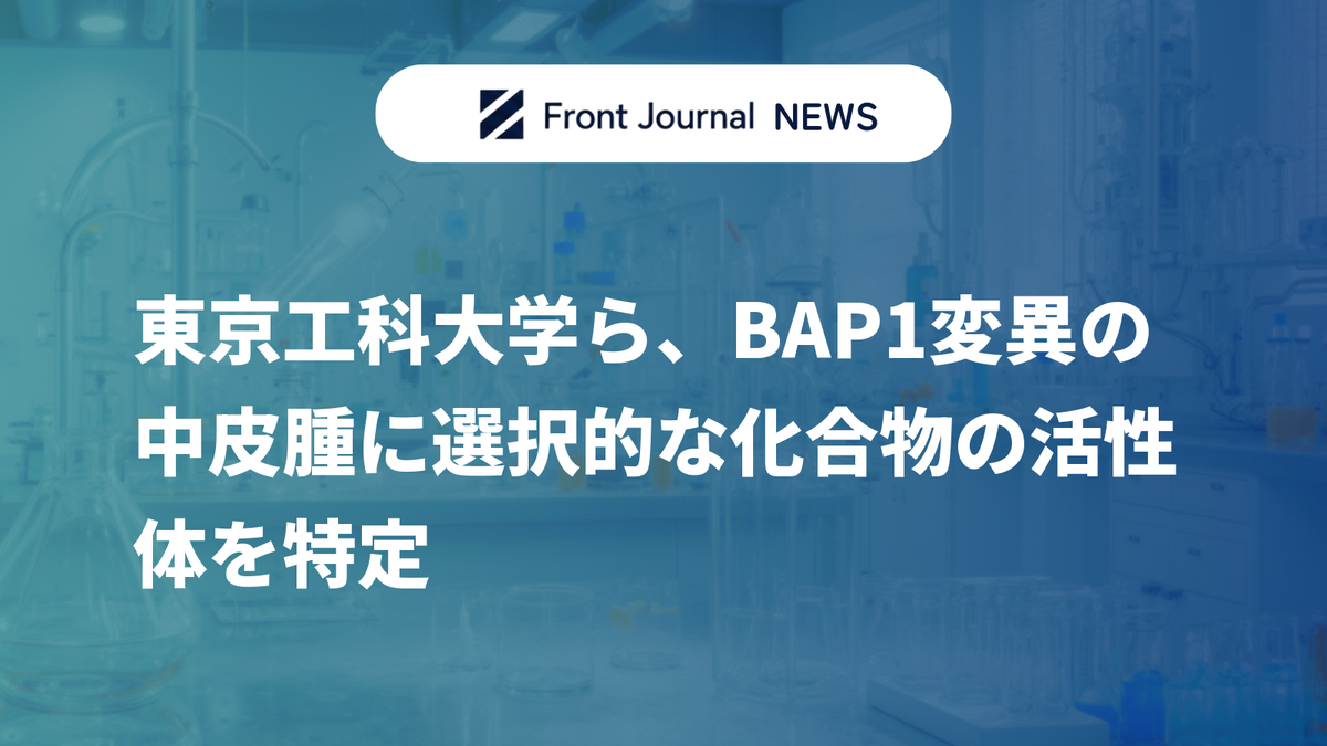 東京工科大学ら、BAP1変異の中皮腫に選択的な化合物の活性体を特定