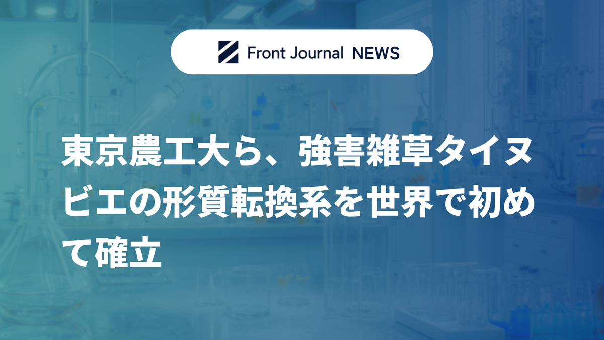 東京農工大ら、強害雑草タイヌビエの形質転換系を世界で初めて確立