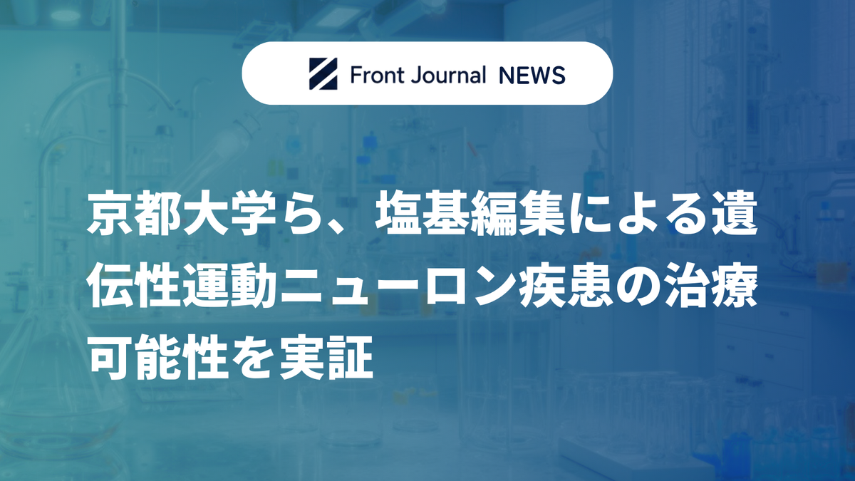 京都大学ら、塩基編集による遺伝性運動ニューロン疾患の治療可能性を実証