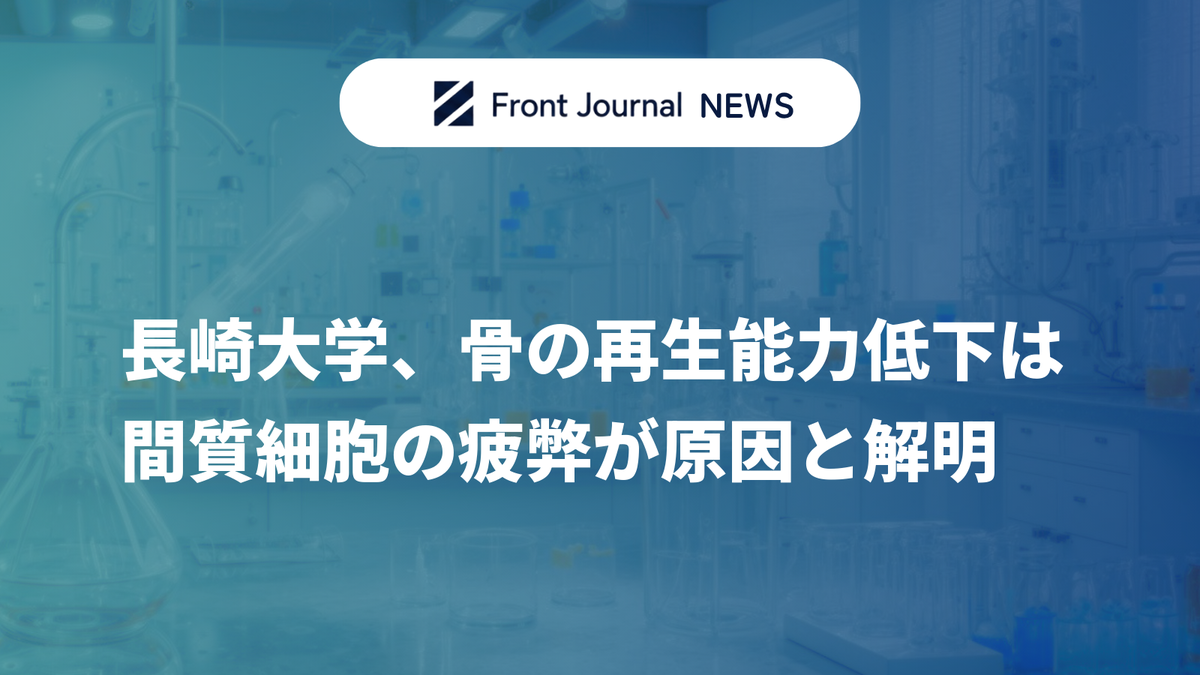 長崎大学、骨の再生能力低下は間質細胞の疲弊が原因と解明