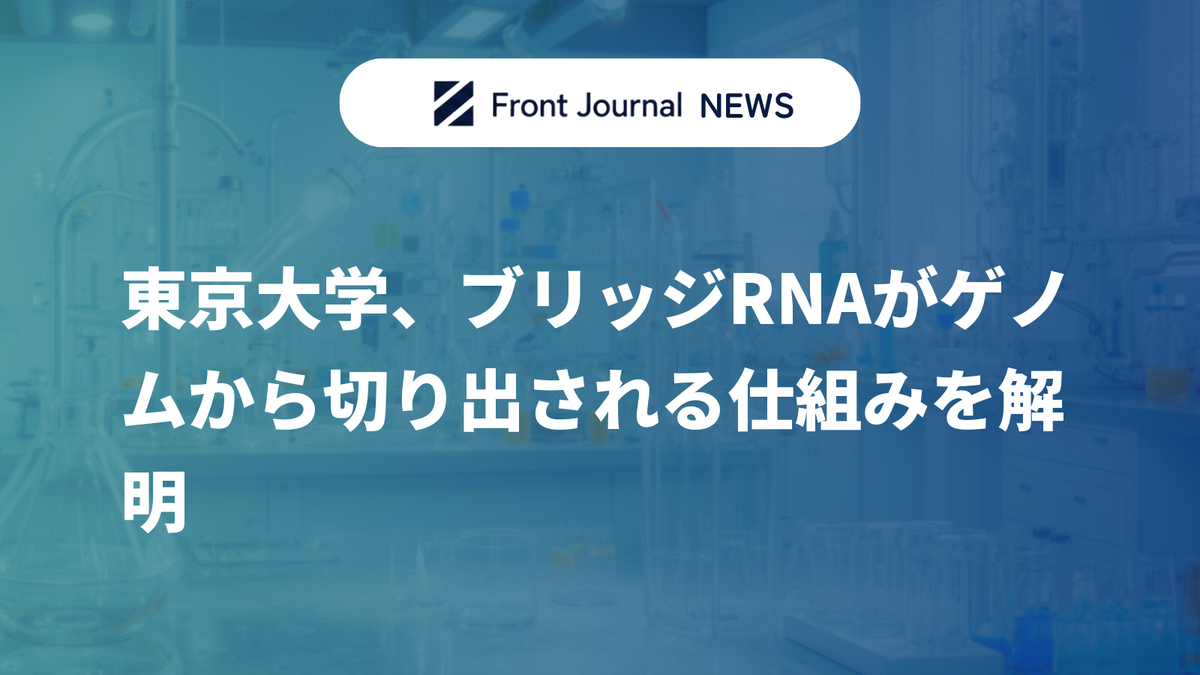 東京大学、ブリッジRNAがゲノムから切り出される仕組みを解明