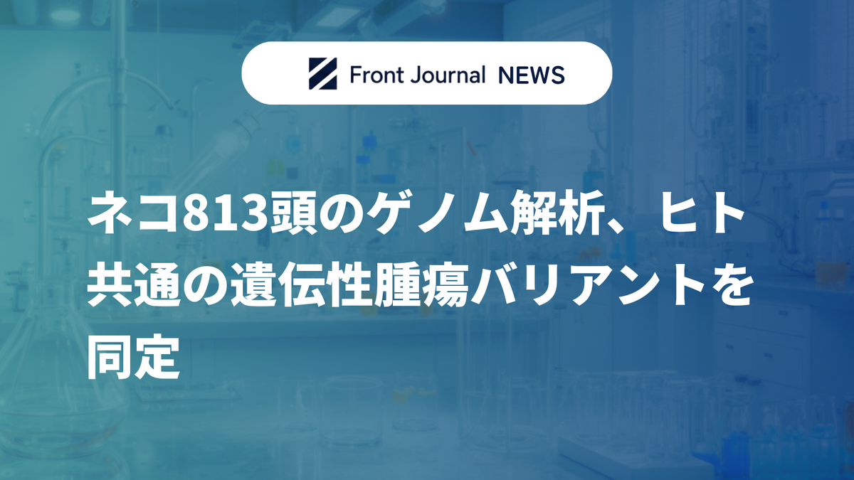 ネコ813頭のゲノム解析、ヒト共通の遺伝性腫瘍バリアントを同定