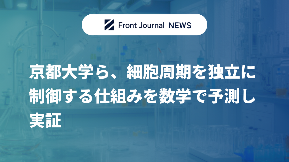 京都大学ら、細胞周期を独立に制御する仕組みを数学で予測し実証