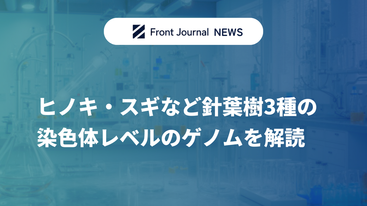 ヒノキ・スギなど針葉樹3種の染色体レベルのゲノムを解読