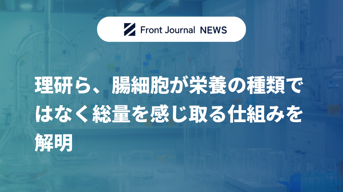 理研ら、腸細胞が栄養の種類ではなく総量を感じ取る仕組みを解明