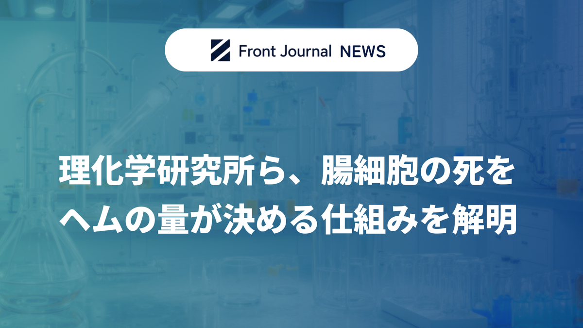 理化学研究所ら、腸細胞の死をヘムの量が決める仕組みを解明